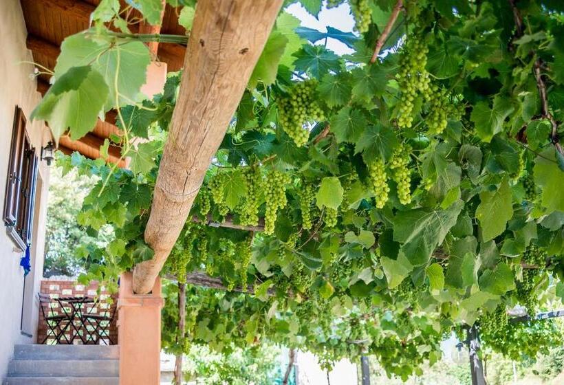 스탠다드 룸 킹사이즈 침대, Il Giardino Di Lavanda