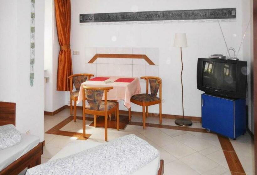 스탠다드 룸, Pension Pieschen Dresden