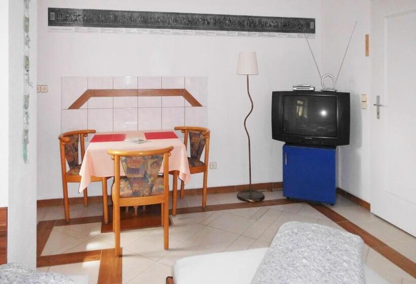 Номер Стандарт, Pension Pieschen Dresden
