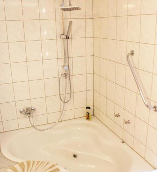 Апартаменты 1 Спальня, Pension Pieschen Dresden