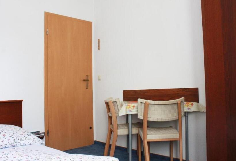 스탠다드 룸 공동 욕실, Pension Pieschen Dresden