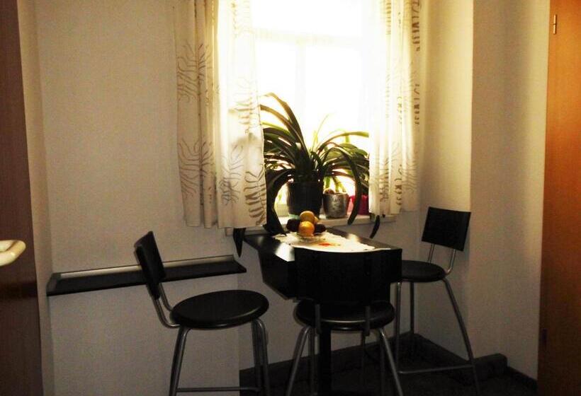 Номер Стандарт Совместная Ванная, Pension Pieschen Dresden