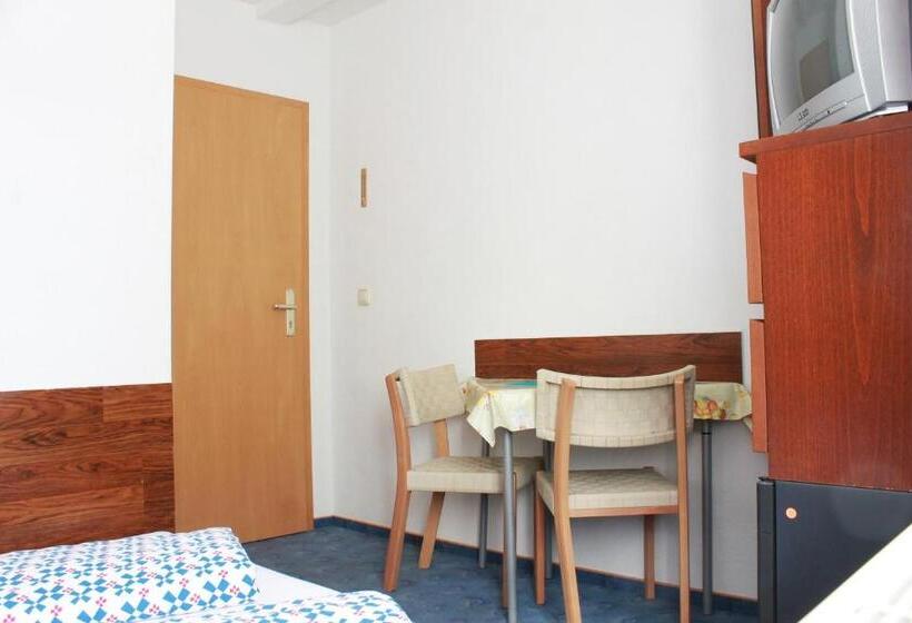 스탠다드 룸 공동 욕실, Pension Pieschen Dresden