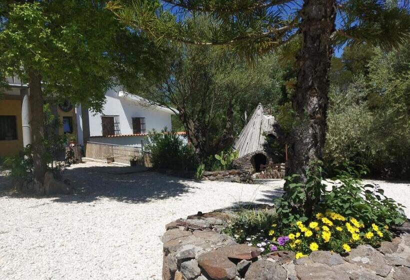 חדר סטנדרט נוף לגינה, B&b Littu