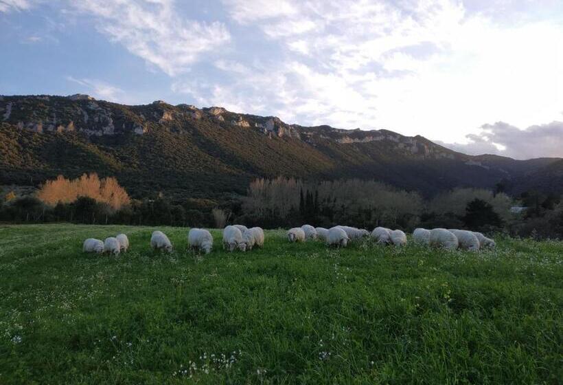 חדר סטנדרט, B&b Littu