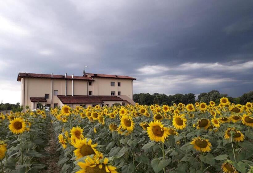 اتاق استاندارد یک نفره, Al Cavaliere