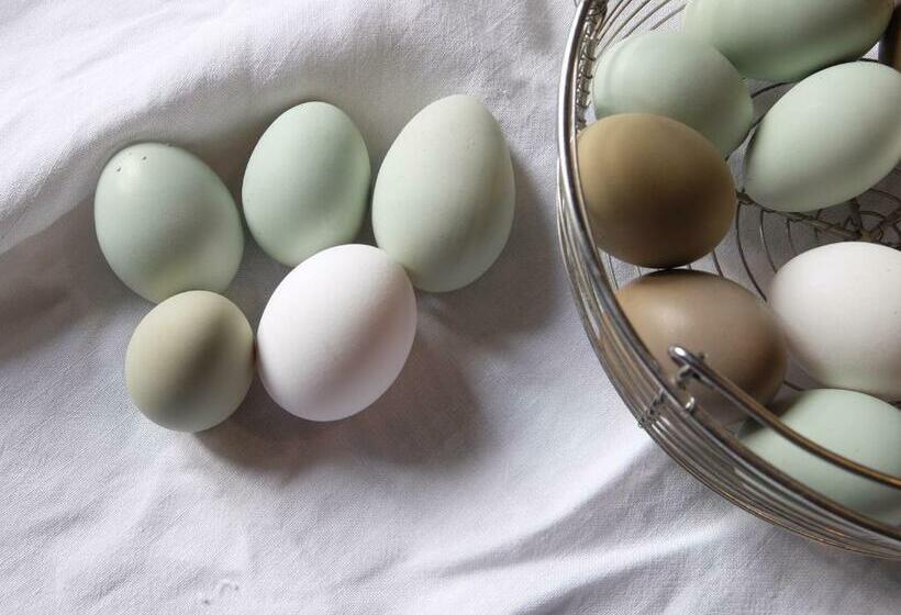 בית, חדר שינה 1, Capannacce Organic And Horse Farm