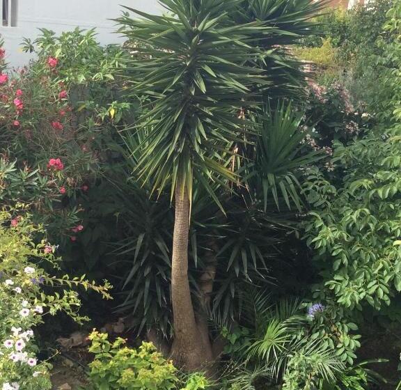 Апартаменты 2 Спальни, Villa Da Melis