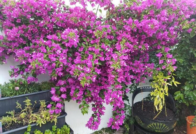 Апартаменты 2 Спальни, Villa Da Melis