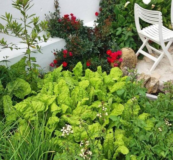 Апартаменты 3 Спальни, Villa Da Melis