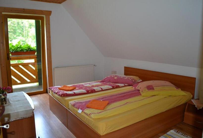 Номер Стандарт Вид на Бассейн, Pensiunea Ioana