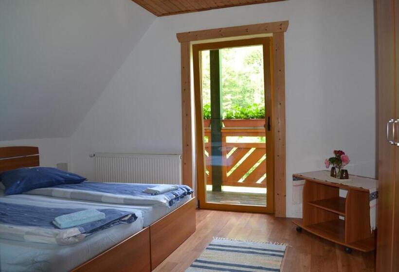 Номер Стандарт Вид на Бассейн, Pensiunea Ioana