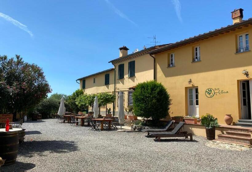 اتاق استاندارد, B&b Alloro