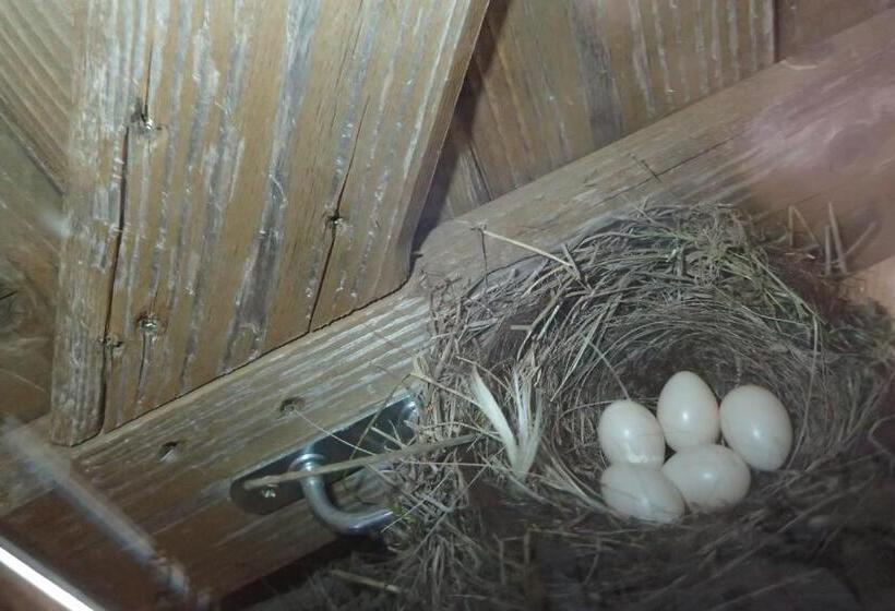 ガーデンビュースタンダードルーム, Mas De La Boheme L Hermet