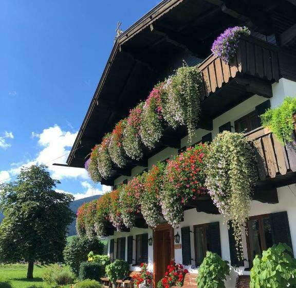 Номер Стандарт Индивидуальный, Freihof