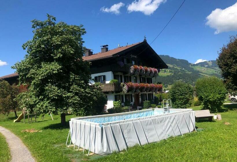 Номер Стандарт Трехместный, Freihof