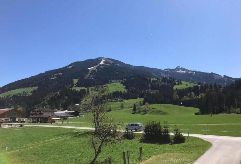 Номер Стандарт, Freihof