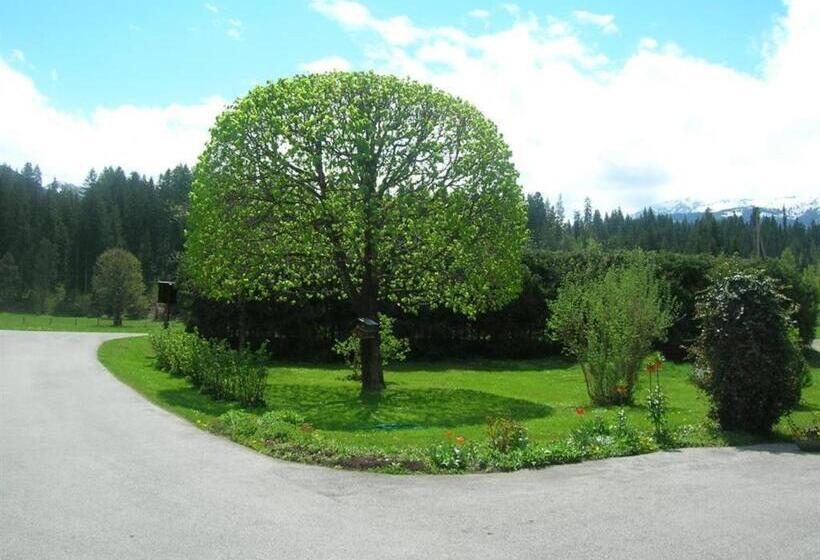 Номер Стандарт, Freihof