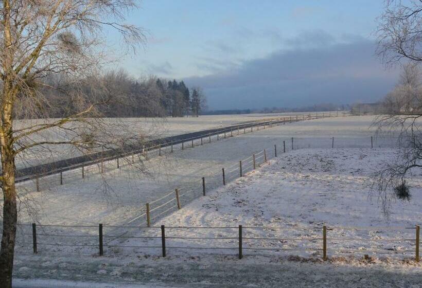 غرفة قياسية مطلّة علي البحر, Peanuts Hostel & Meer