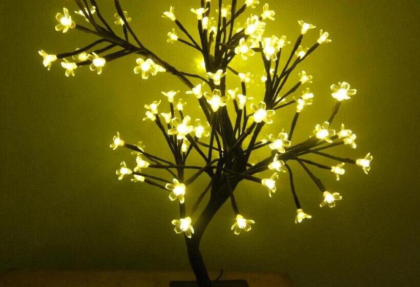 غرفة قياسية, Peanuts Hostel & Meer