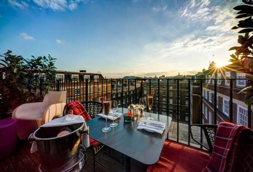 小型俱乐部套房, Apex Temple Court