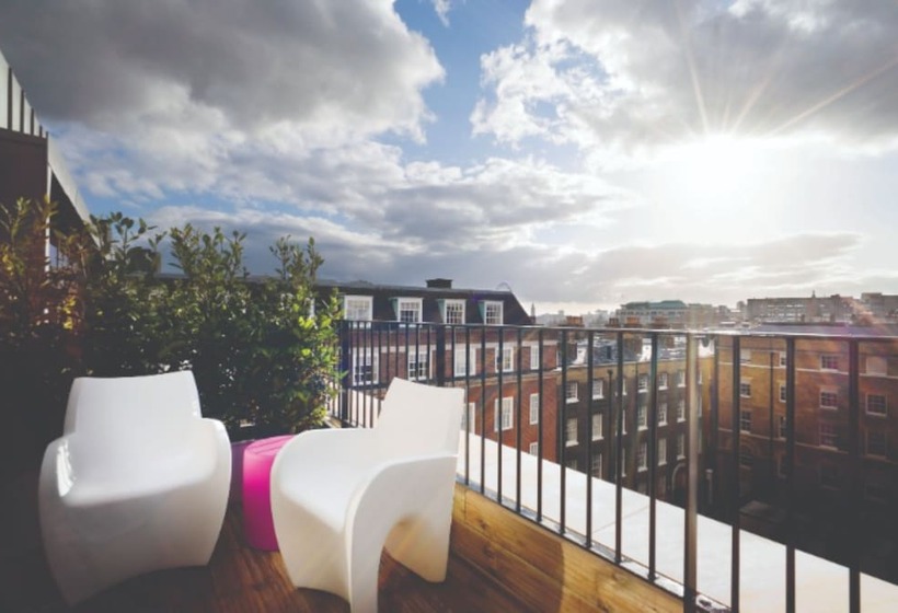 小型俱乐部套房, Apex Temple Court