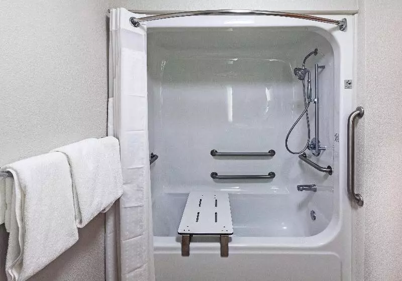 キングサイズベッドのスタンダードルーム, Holiday Inn Express Hotel And Suites Jenks, An Ihg