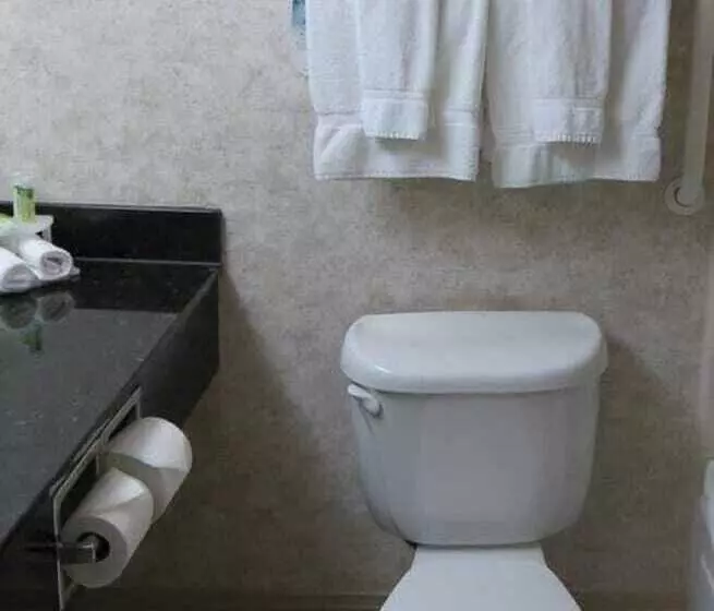 سوییت, Holiday Inn Express & Suites Corpus Christi, An Ihg