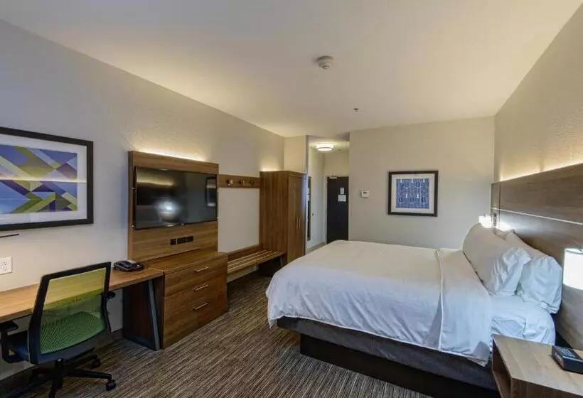 اتاق استاندارد با تخت بزرگ, Holiday Inn Express & Suites Corpus Christi, An Ihg