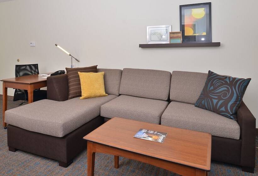 带2个卧室的套房, Residence Inn By Marriott Denver Airport At Gateway Park