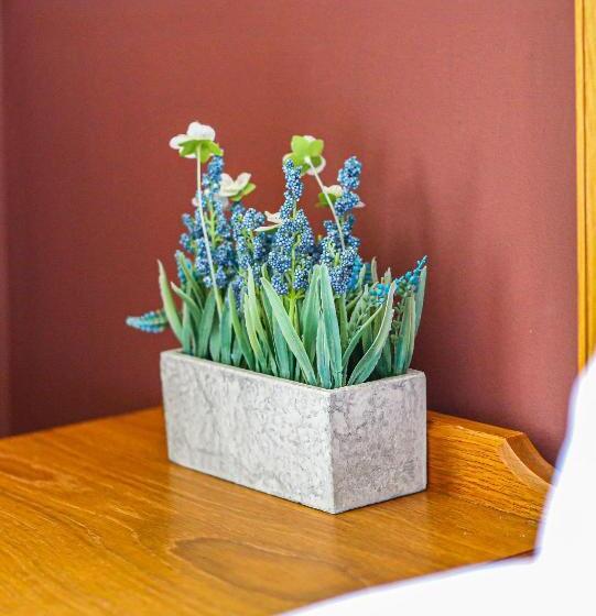 חדר אקונומי, The Wellington