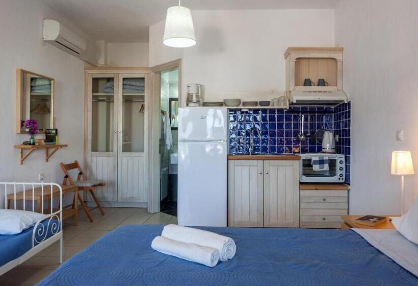 استودیوی استاندارد با چشمانداز دریا, Thea Home