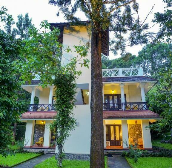 اتاق لوکس, Treetop