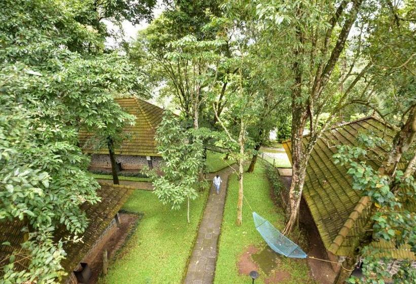 خانه 1 خوابه, Treetop