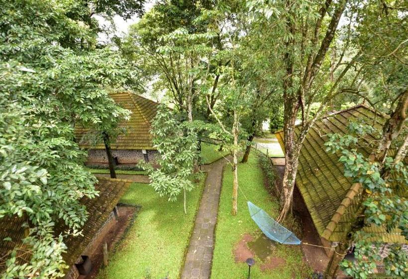 خانه 1 خوابه, Treetop