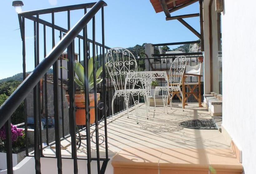 سوییت, Horta Do Zé Miguel