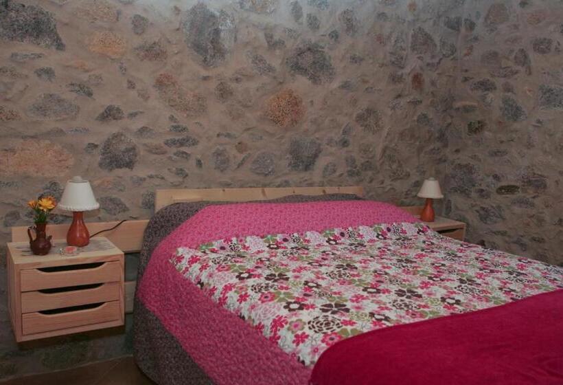 خانه 2 خوابه, Horta Do Zé Miguel