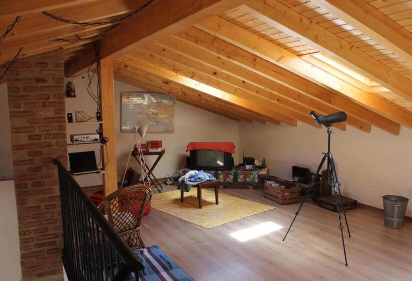 خانه 4 خوابه, Horta Do Zé Miguel