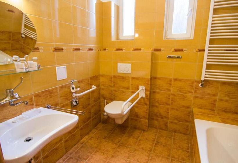 장애인을 위한 스탠다드 룸, Hron