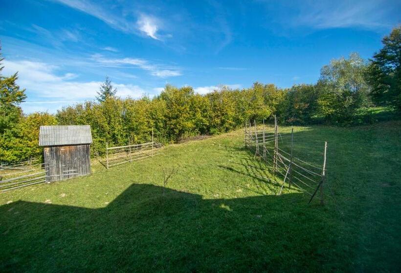 חדר סטנדרט, Alpina Panoramic