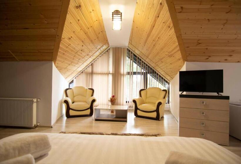 דירת חדר, Alpina Panoramic