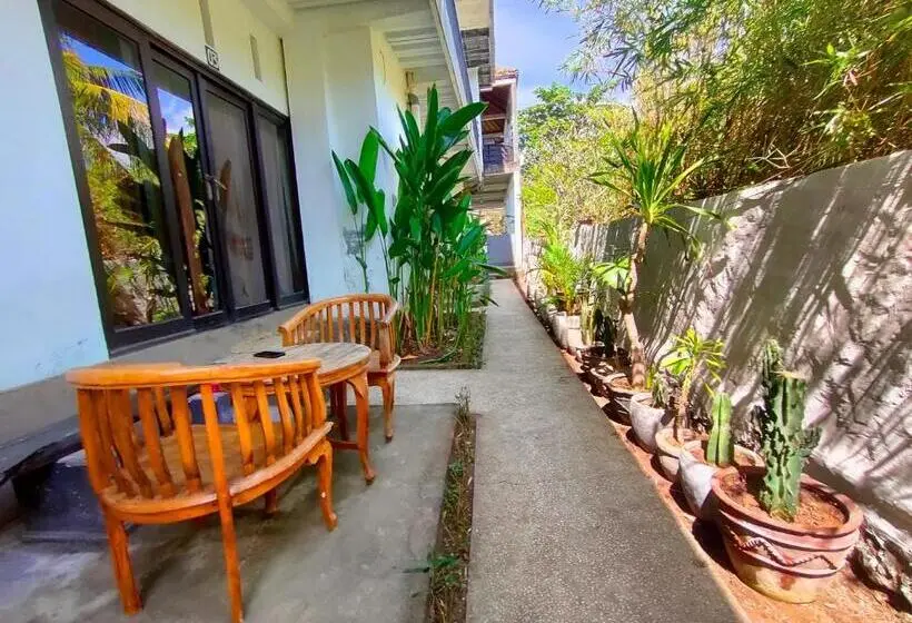 Economy-huone, Bali Yogi