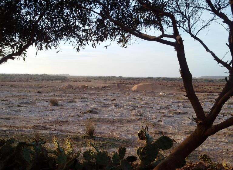 غرفة قياسية مطلّة علي البحر, Golden Baibah