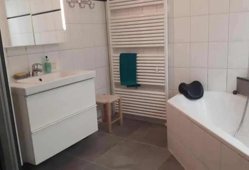 バス共有のスタンダードルーム, Verzorgde Kamer In Monumentenpand