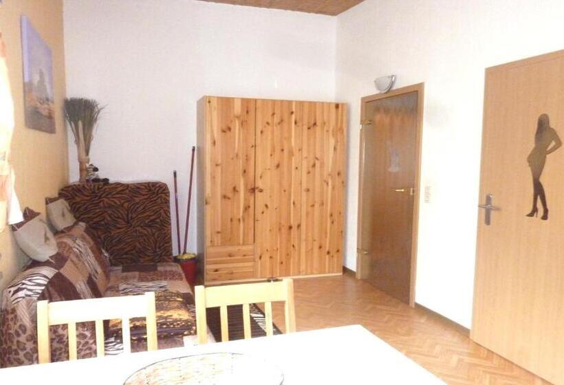 Апартаменты 1 Спальня, Ferienwohnung Direkt In Ilmenau