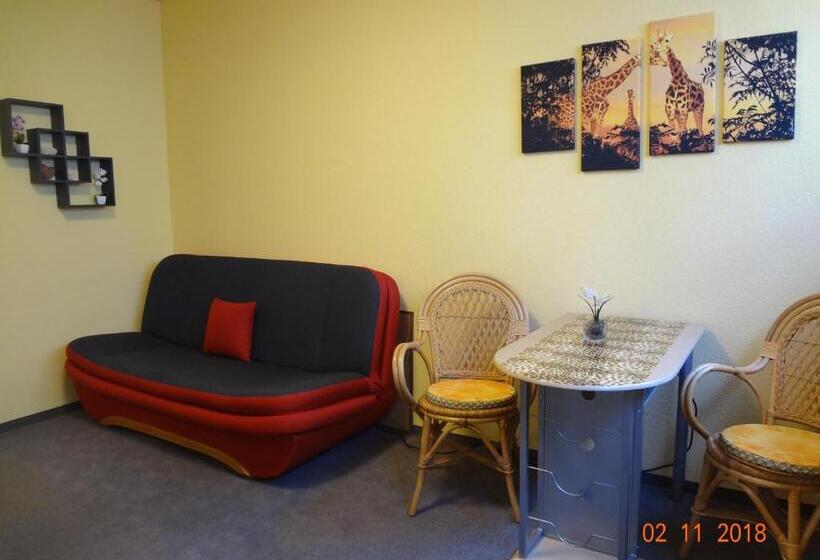 스탠다드 싱글 룸, Ferienwohnung Direkt In Ilmenau