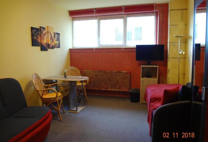 스탠다드 싱글 룸, Ferienwohnung Direkt In Ilmenau