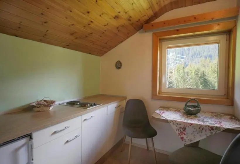 آپارتمان 1 خوابه, Gästehaus Lienharterhof