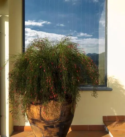 Triple Room Sea View, B&b Il Trebbio