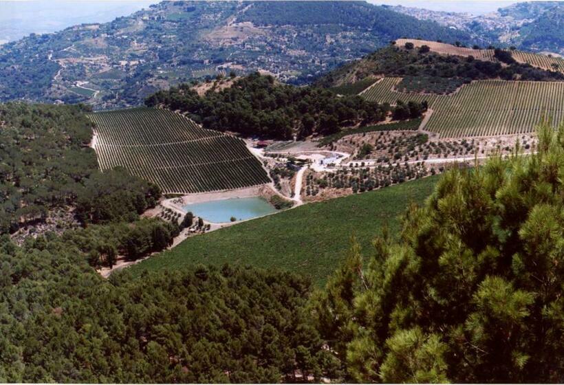 غرفة عائلية, Agriturismo Tenute Pispisa Segesta